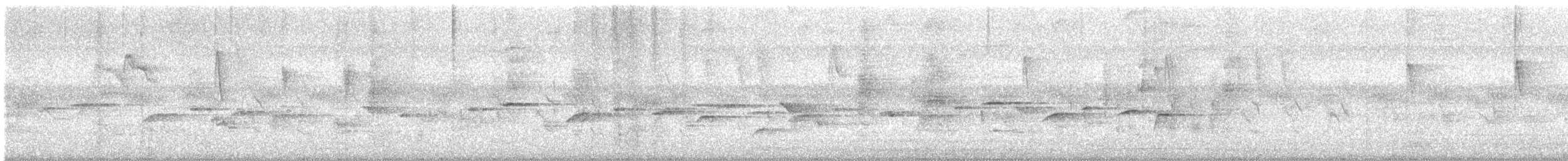 Abanico Pechipinto - ML643886127