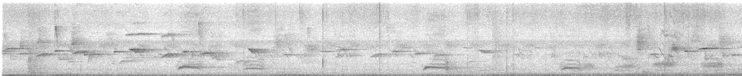 Abanico Pechipinto - ML643886128