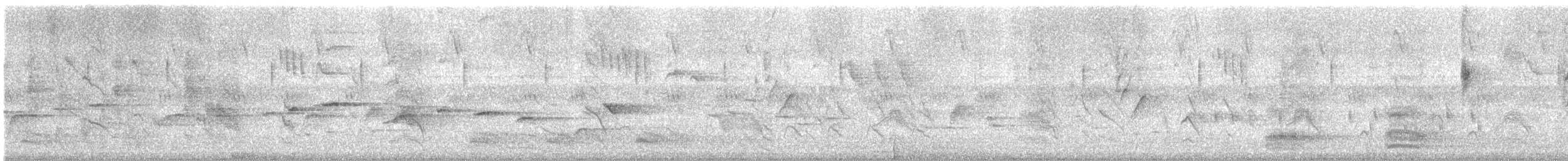 Abanico Pechipinto - ML643886129