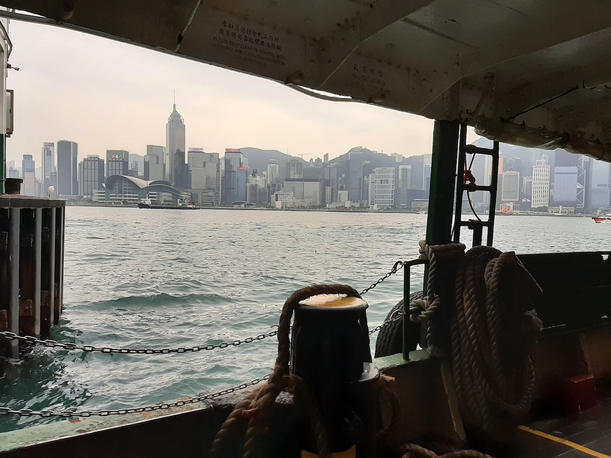 Малая белая цапля - ML643887294