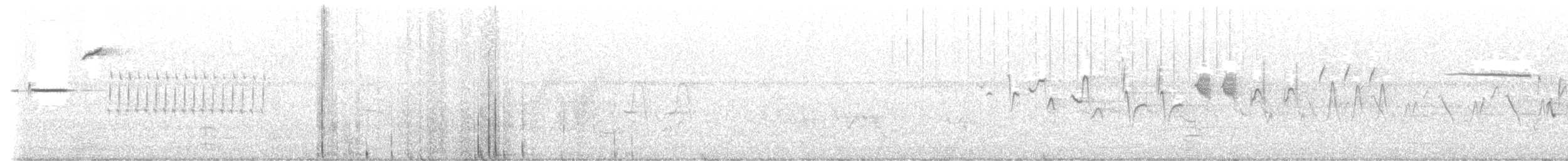 Bachman's Sparrow - ML643889306