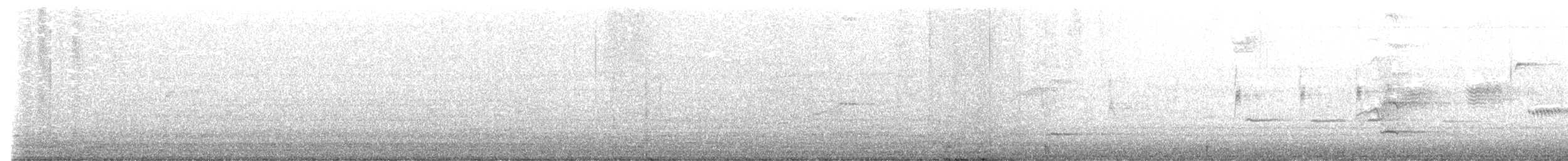Buteo sp. - ML643889879