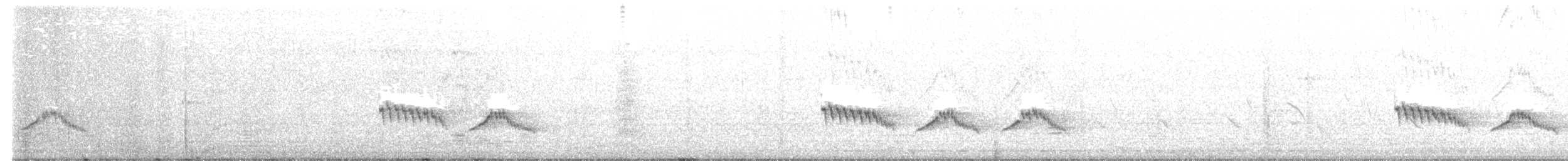 White-browed Scrub-Robin - ML643890178