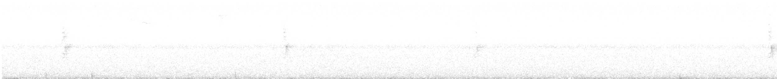 シロオビアメリカムシクイ - ML643890199