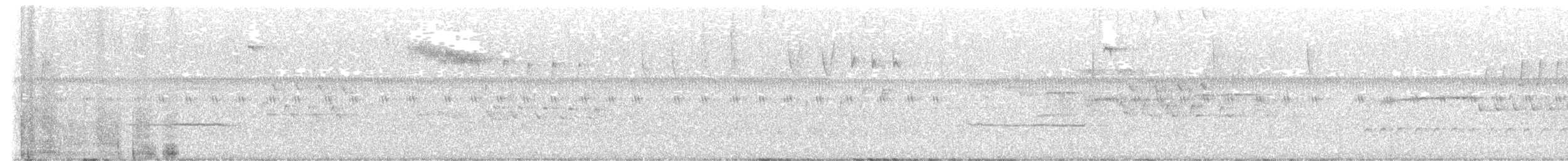 Bachman's Sparrow - ML643890778