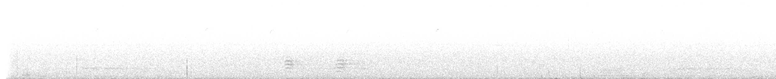 Trepador Pechiblanco - ML643891914