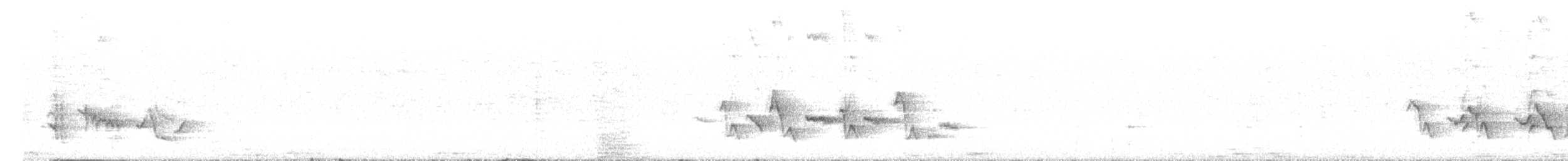 סלעית שחורת-בטן - ML643892007