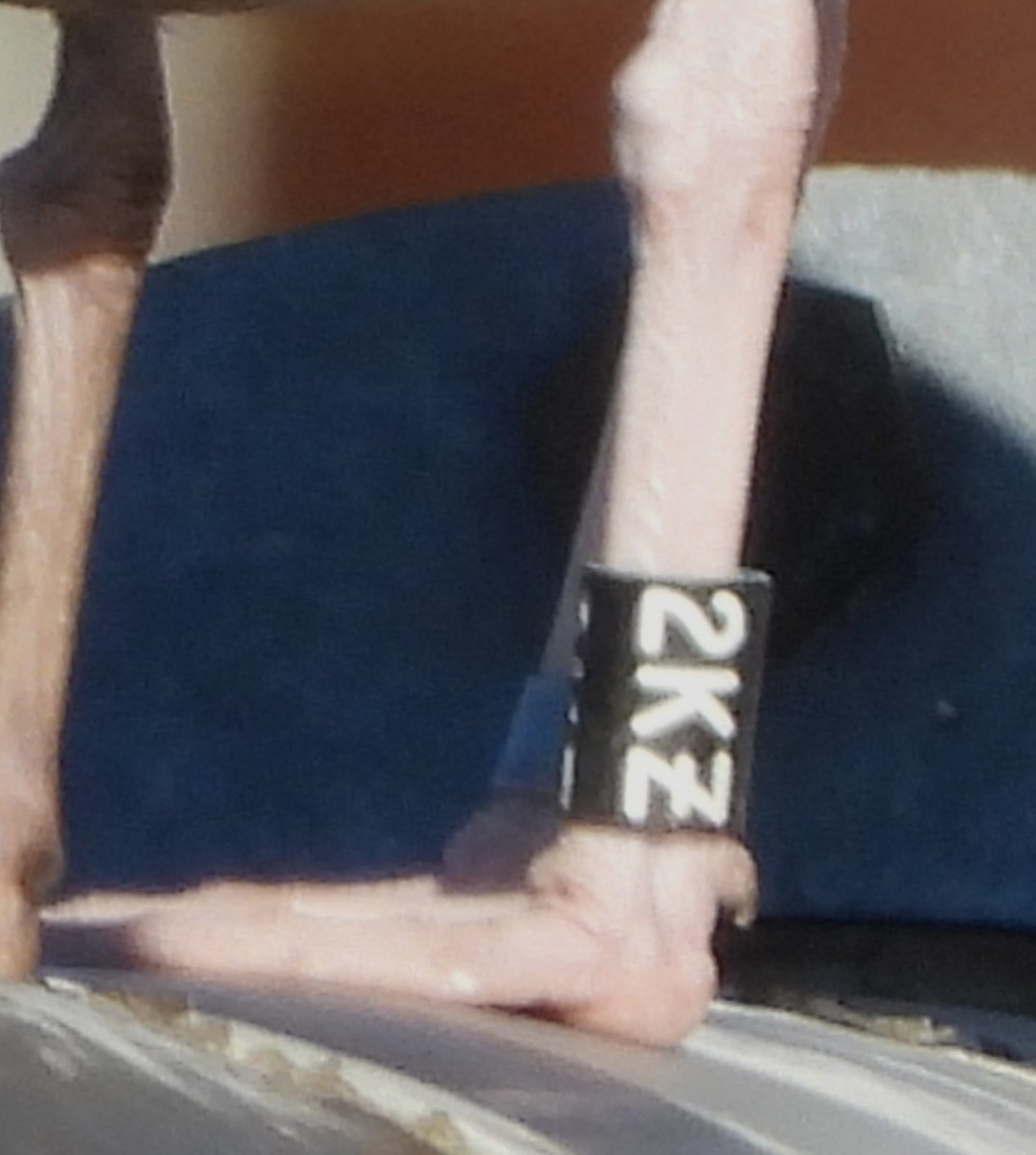 Gavión Atlántico - ML643892487