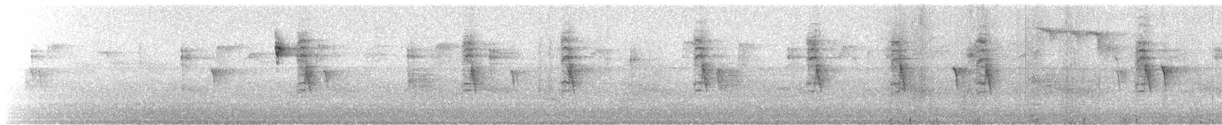 シロオビアメリカムシクイ - ML643892788