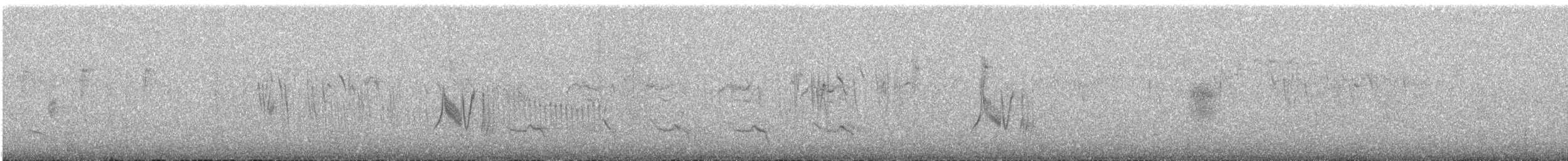 Mountain Elaenia - ML643892883