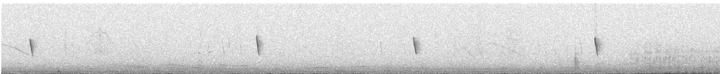 Rufous-collared Sparrow - ML643893133