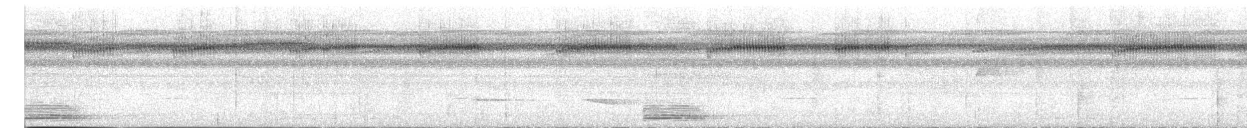 Broad-billed Motmot - ML643893675