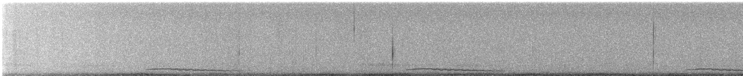 Eastern Screech-Owl - ML643895012