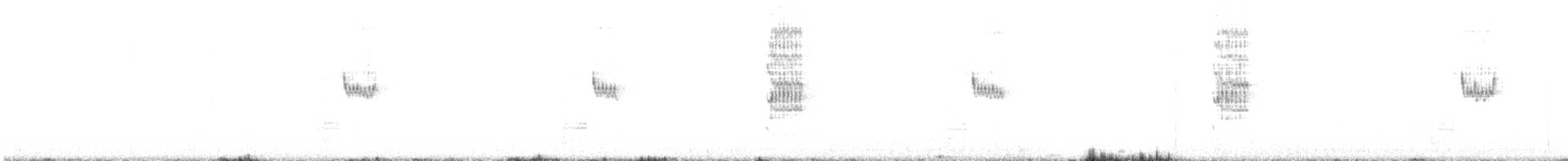 Great Gray Shrike (Sahara) - ML643895177