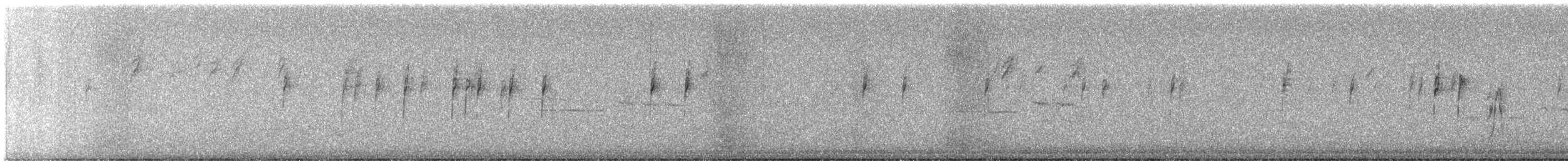 White-crowned Sparrow - ML643895640