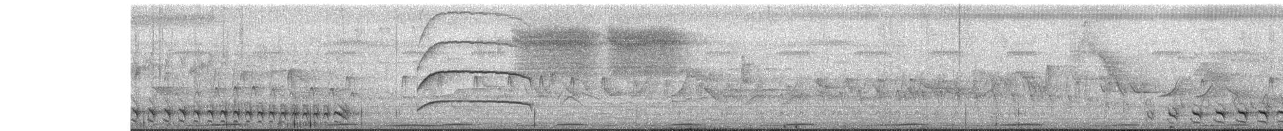 シマアリモズ - ML643896298