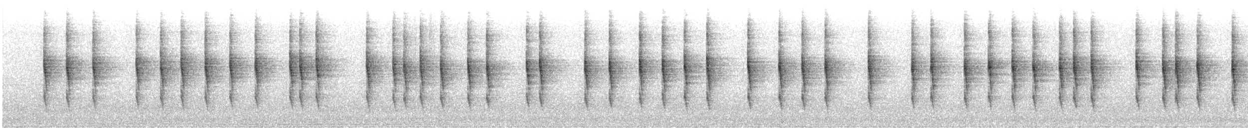 gjerdesmett (troglodytes gr.) - ML643897527