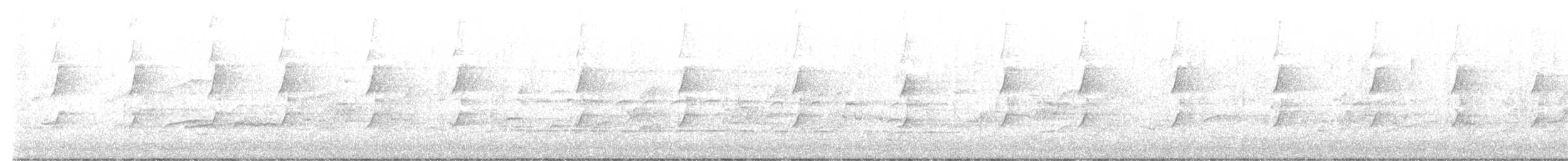 medosavka hlučná - ML643897596