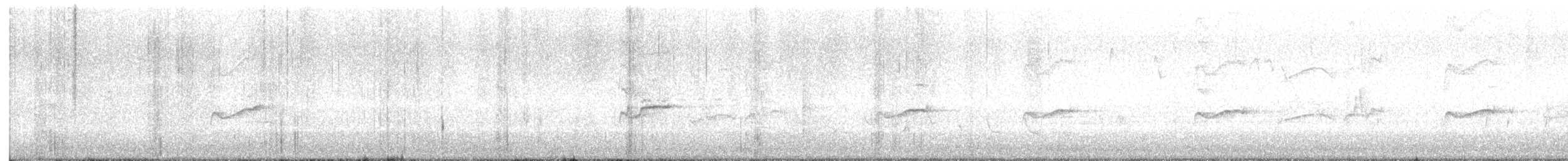 Hellbauch-Schnäppertyrann - ML643897605