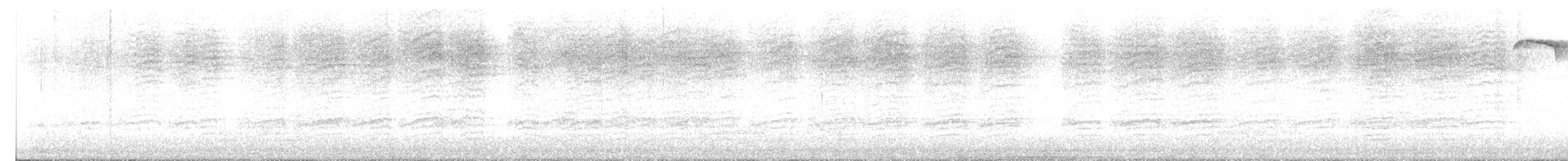 Barred Owl - ML643898786