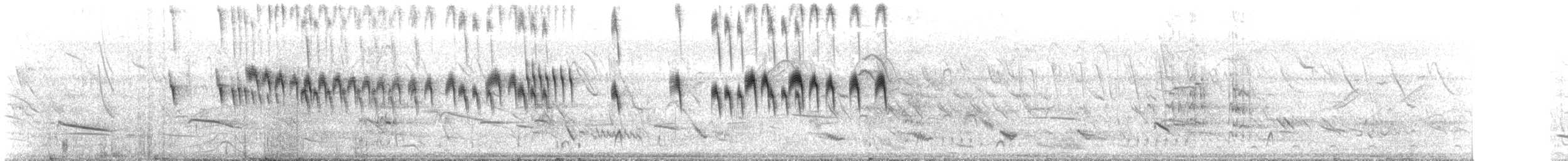 White-throated Kingbird - ML643899716