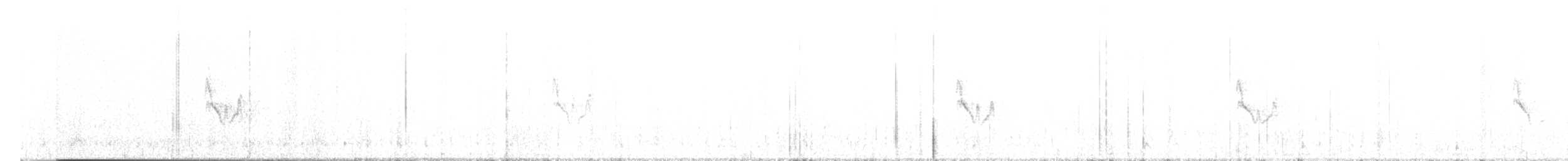 Candelita Aliblanca - ML643899919