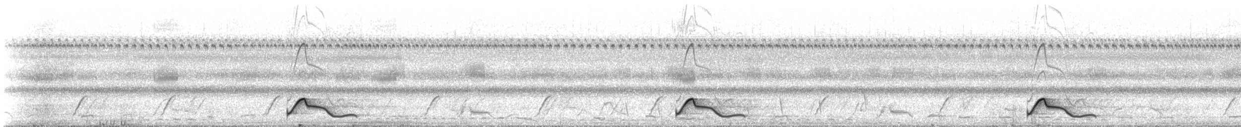 Common Pauraque - ML643900836