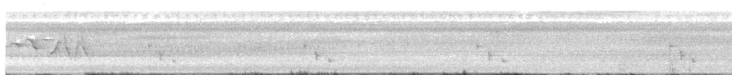 brunparula - ML643901015