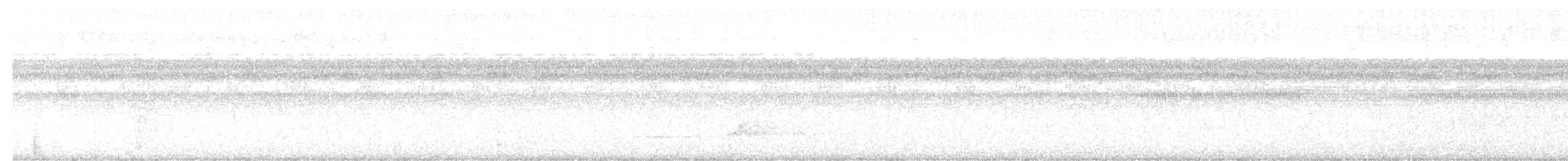 Northern Bobwhite - ML643901239