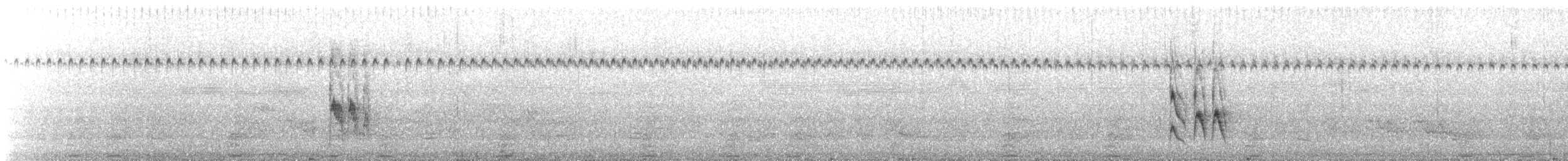 Mouse-colored Tyrannulet (Southern) - ML643901291