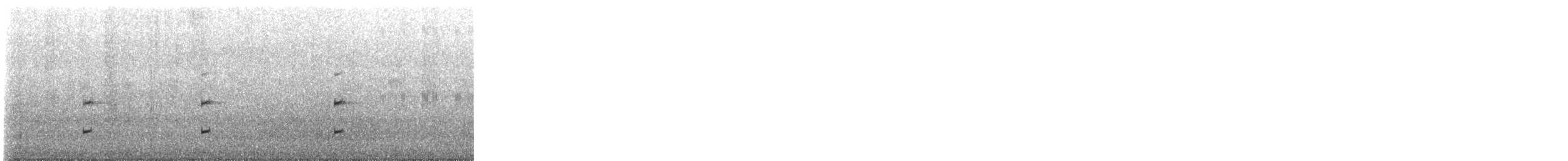 Chacoan Tropical Bullfrog - ML643901915