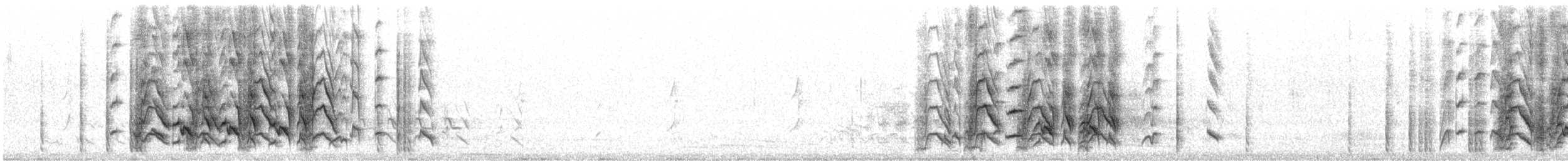 コダイマキエインコ - ML643902102