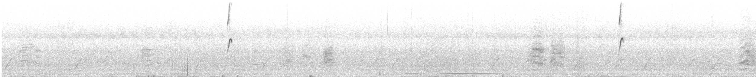 bird sp. - ML643902180