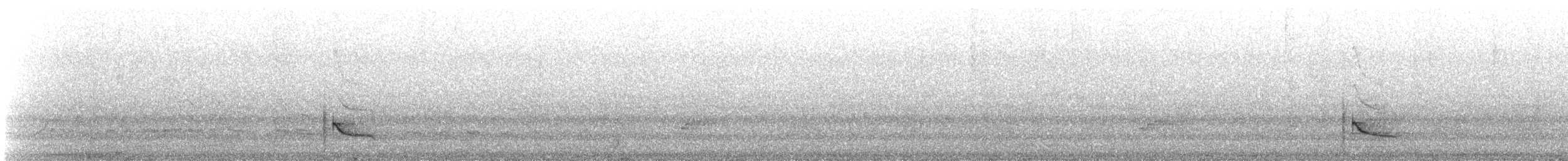 Large Elaenia - ML643902305