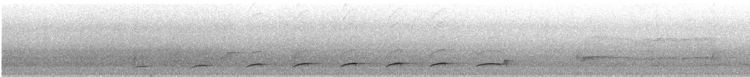 Dull-capped Attila - ML643902362