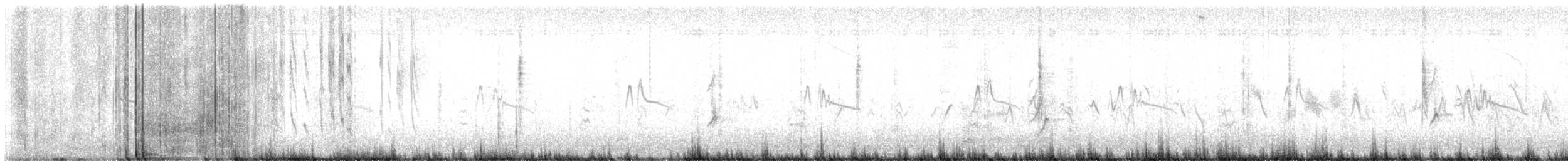 Black Phoebe - ML643902574