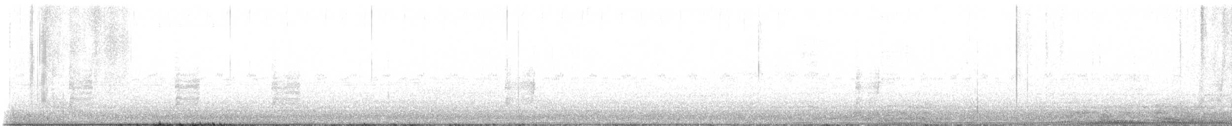 Troglodyte de Bewick - ML643903451