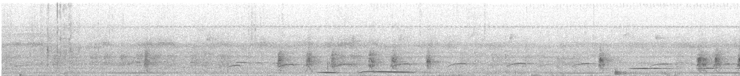 White-tipped Dove - ML643903535