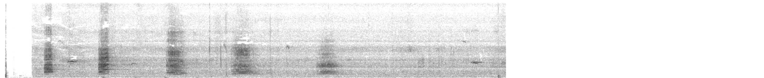 Koartza hauskara amerikarra - ML643904212