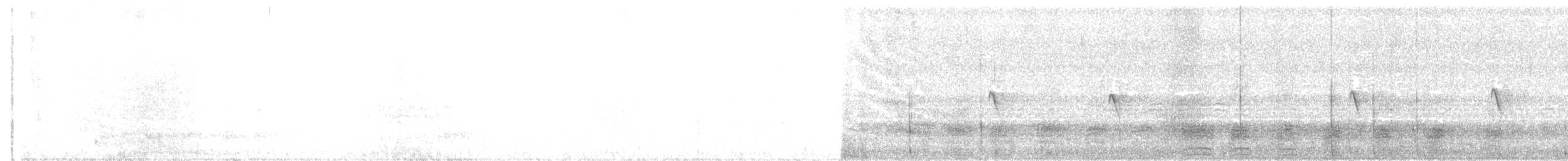 Black Phoebe - ML643904222