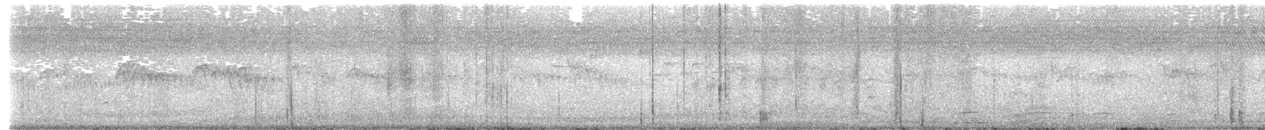 סיס גליל - ML643904389