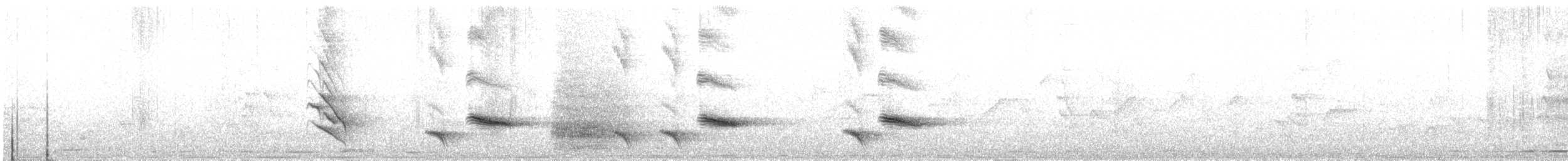 Australasian Figbird - ML643904548