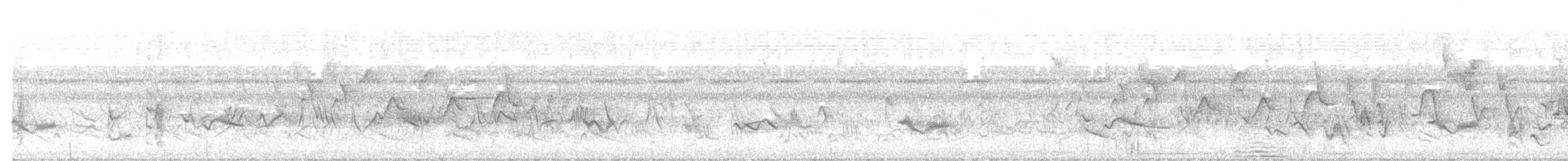 ימימן אמריקני - ML643904776