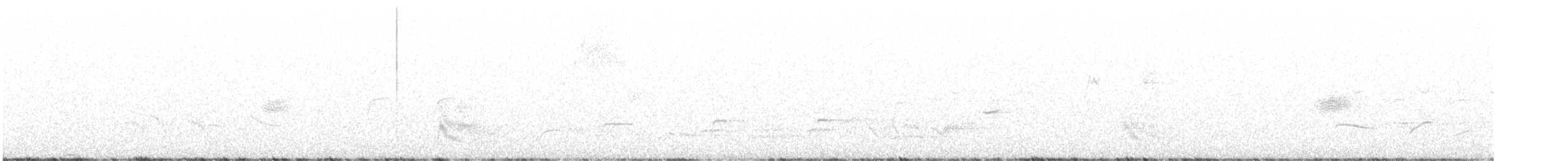 Chova Piquirroja - ML643904939