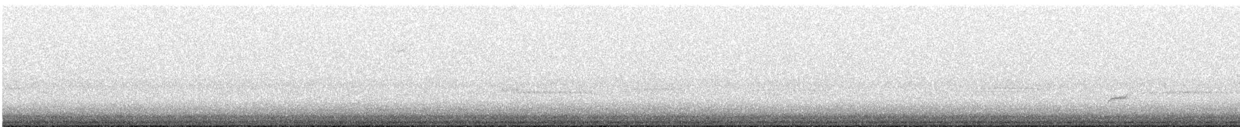 Swainson's Thrush - ML643905501