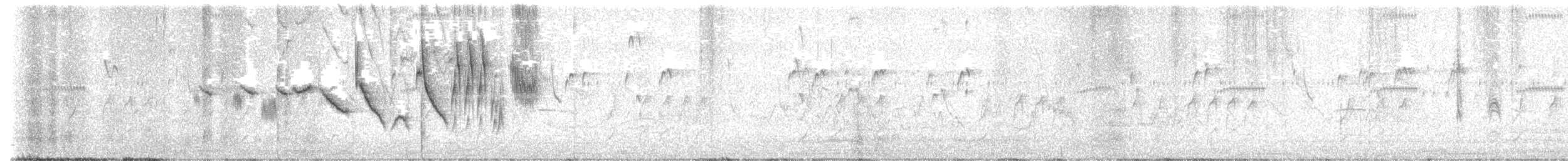 Sporophile à col double - ML643905842