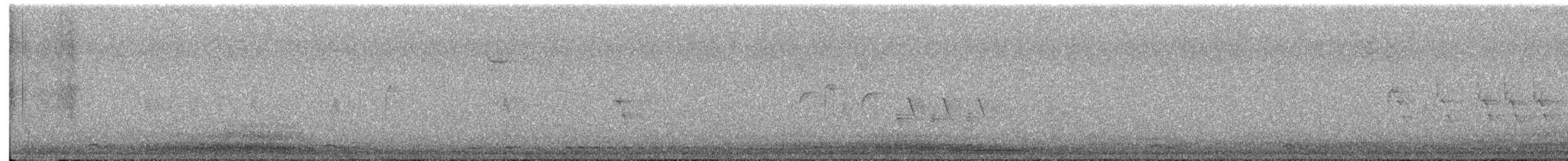 Western Screech-Owl (Northern) - ML643906743