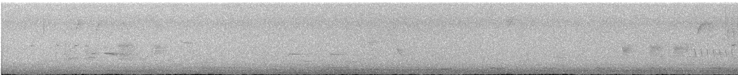 Western Screech-Owl (Northern) - ML643906744