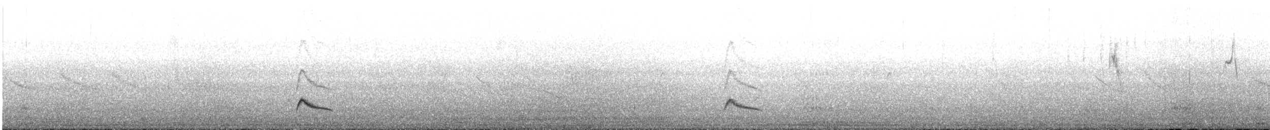 White-crested Elaenia - ML643906770