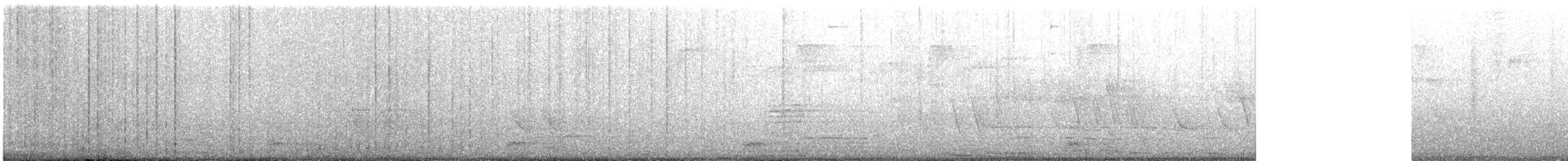 カワラバト（ドバト、家畜型） - ML643906841